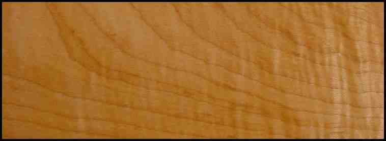 Curly Hard Maple Hardwood Flooring